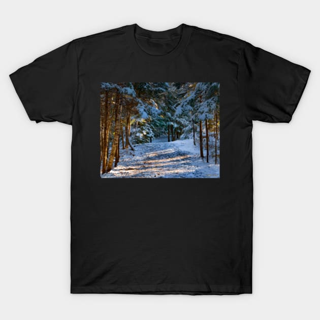 Hemlock Ravine Park 11 T-Shirt by kenmo